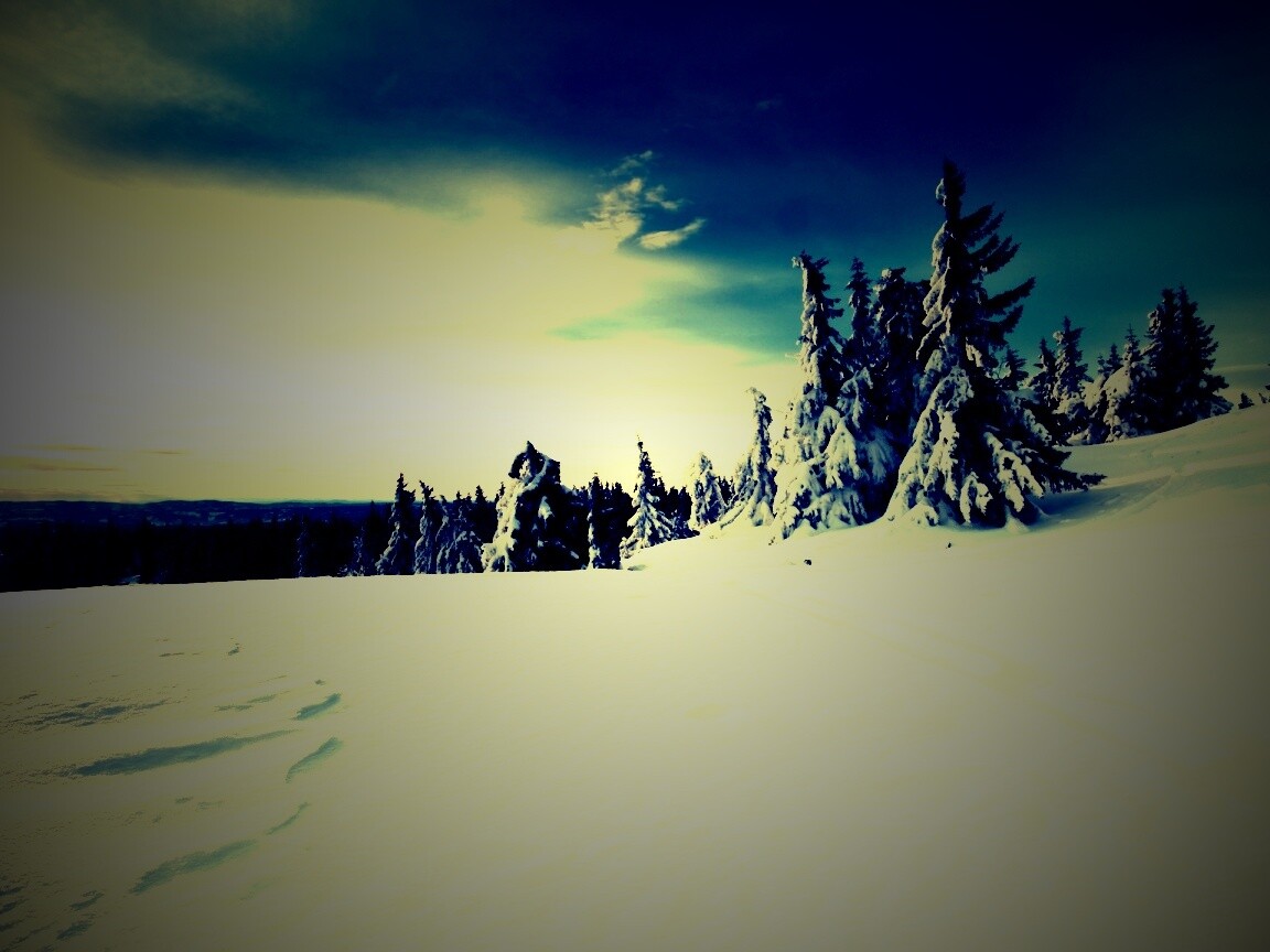 Зимние просторы обои