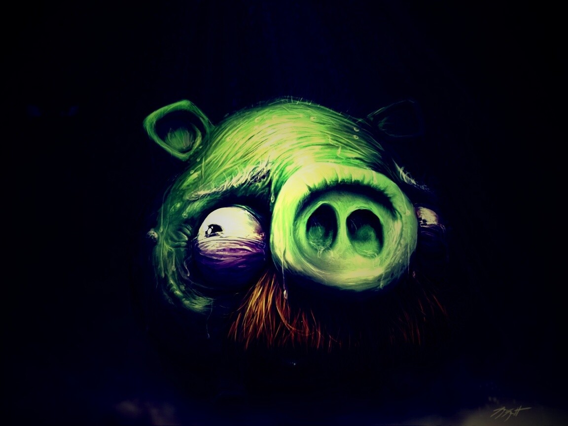 Свинья из Angry Birds обои