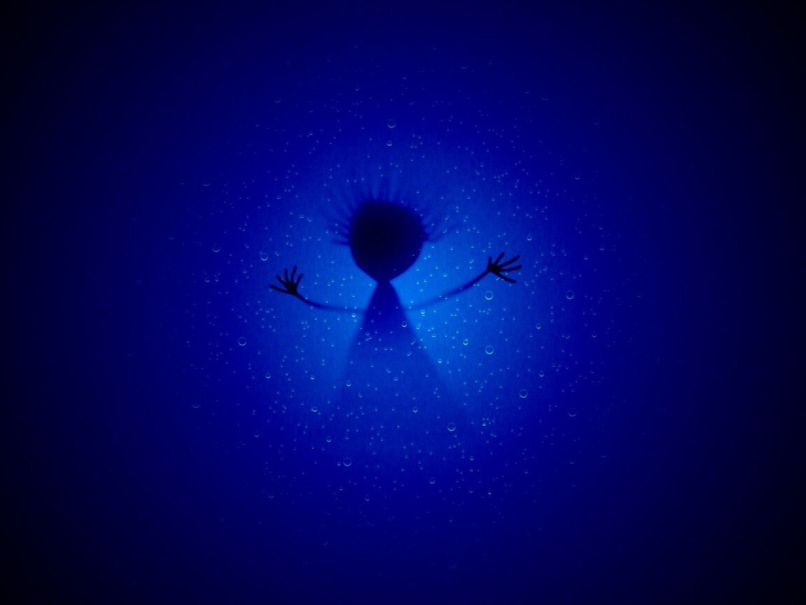 Силуэт обои