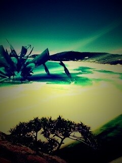 Робот на побережье обои