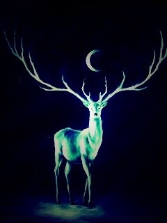 Олень в лунном свете обои
