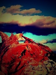 Прелести природы обои