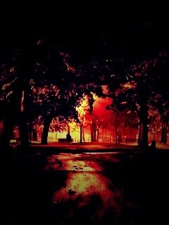 Ночной парк обои