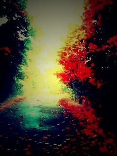 Желтая дорога обои