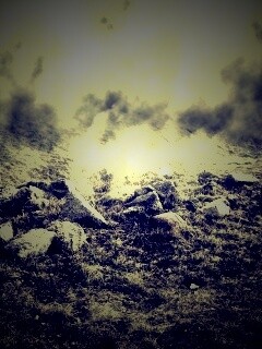 Туман на склоне обои