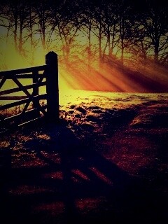 Открытые ворота обои