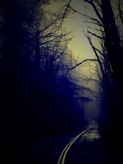 В туман обои