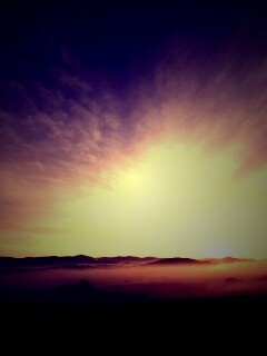 Утренний туман обои