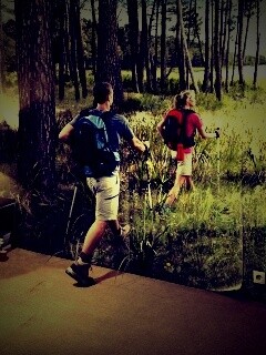 Реклама фотообоев обои