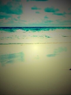 Тропический берег обои