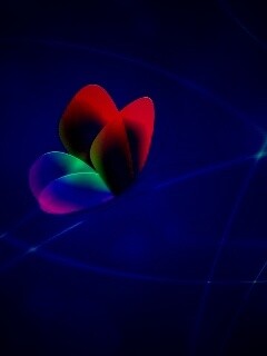 Бабочка с радужными крыльями обои