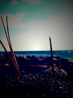 Солома на океанском берегу обои