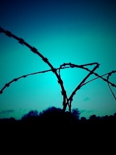 Колючая проволка обои