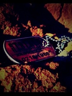 Жетон Сталкер обои