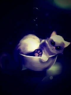 Котёнок в миске обои