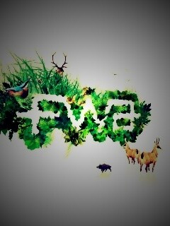 FWA обои