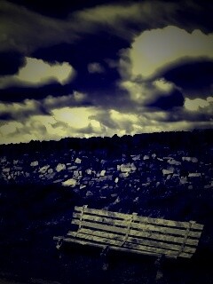 Скамейка у дороги обои