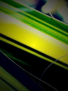 Желто-зеленые травинки обои