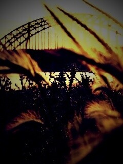 Железнодорожный мост обои