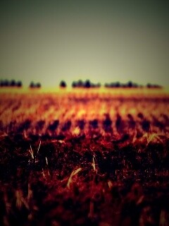 Поле перед вспашкой обои