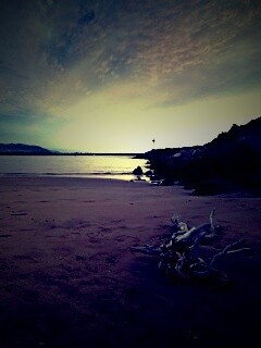 Коряга не берегу обои