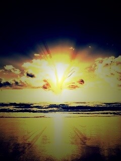 Абстрактные перья на фоне заката обои