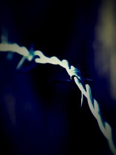 Колючая проволока обои