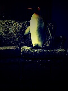 Соседи по дивану обои