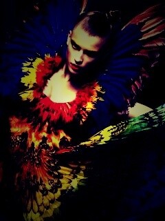 Костюм жар птицы обои