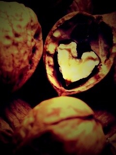 Расколотый орех обои