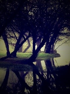 Затопленный парк обои