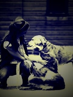 Девушка с собаками обои