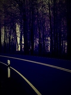 Дорога в осеннем лесу обои