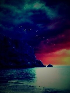 Чайки над скалами обои