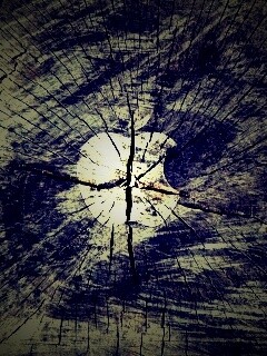 Логотип Apple на бревне обои