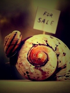 Улитка приматрвиает новый дом обои