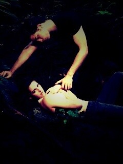 Эдвард и Белла в лесу обои