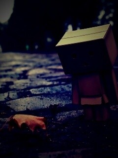 Danbo и первый осенний лист обои