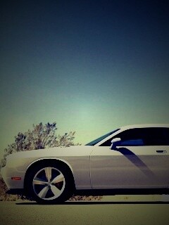 Стартующий Форд Мустанг обои