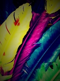 Разноцветные перья обои