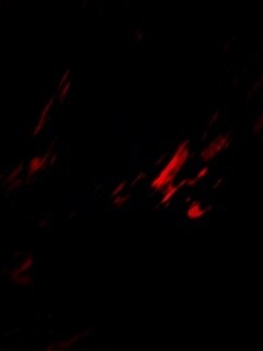 Красное свечение обои