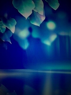 Синие листья обои