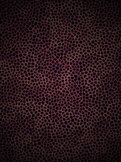 Пятнистая шкура обои