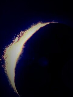 At last light обои