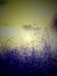 Былинки обои