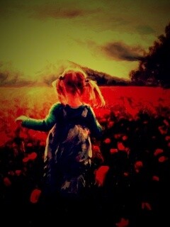 Девочка на маковом поле обои