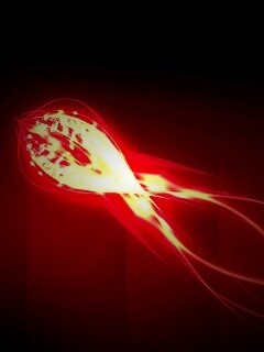 Сгусток красных линий обои