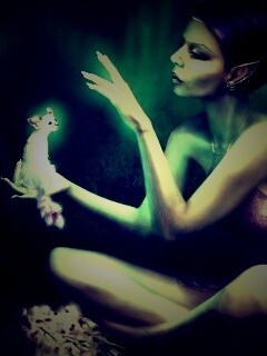 Почет и процветание обои