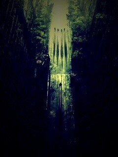 После конца света обои