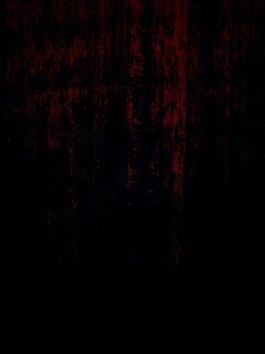 Темно-оранжевое дерево обои